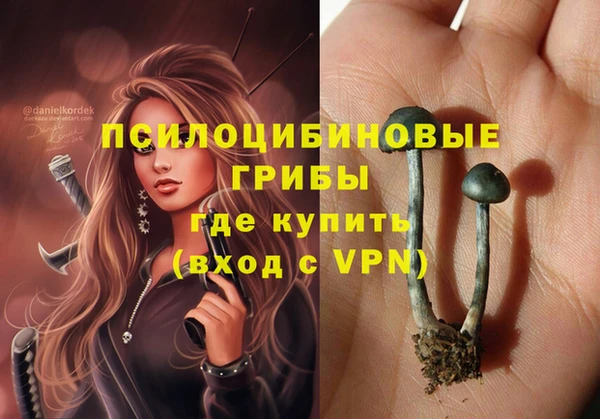 стафф Навашино