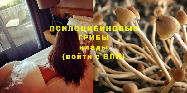 стафф Навашино