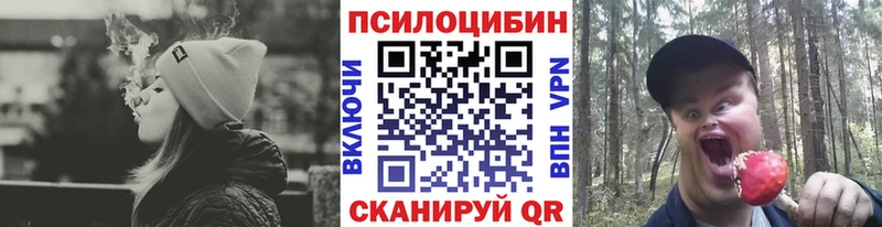 Псилоцибиновые грибы Psilocybe  цена   Ковдор 